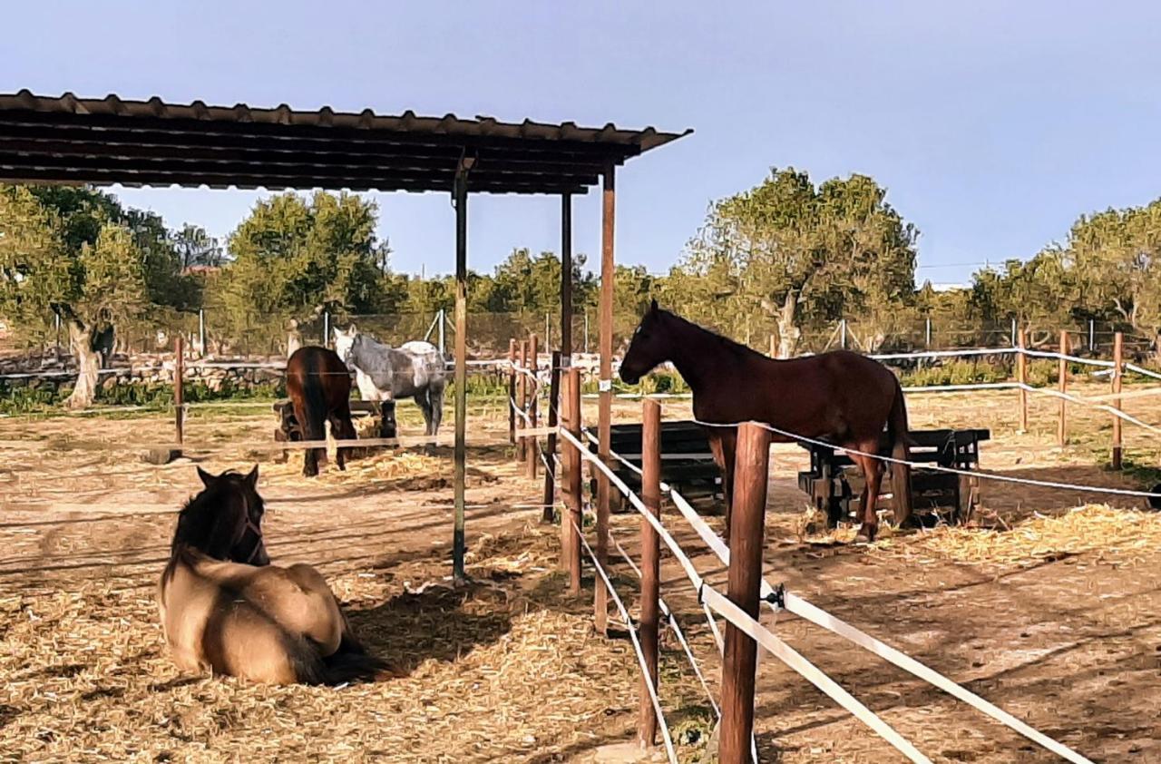 Chalet Vacacional Con Piscina Privada Y Barbacoa Tarragona Exteriör bild